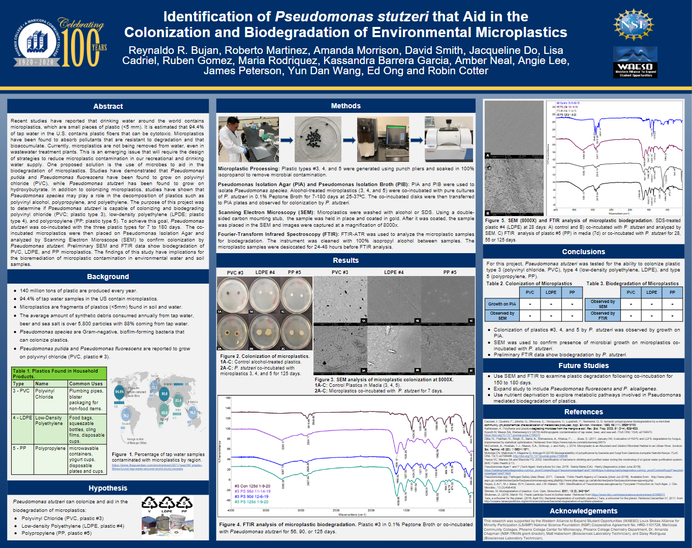 Research poster example from Reynaldo Bujan.