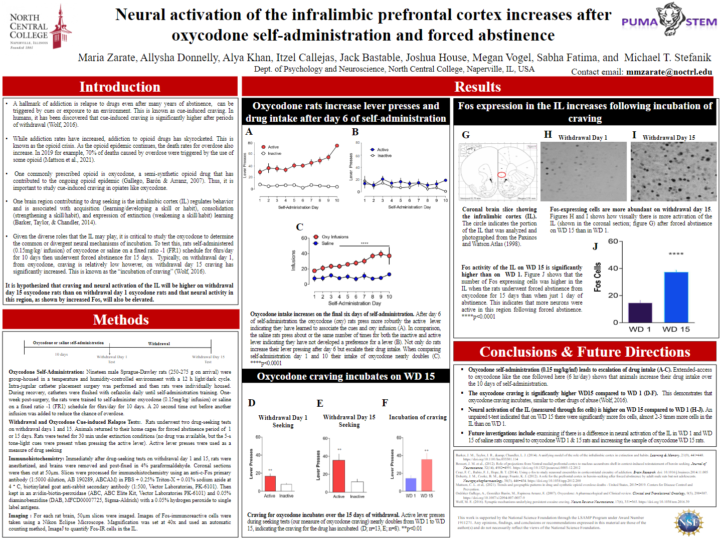 Research poster example from Maria Zarate.